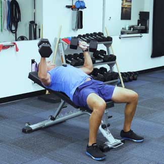 Dumbbell Incline Bench Press